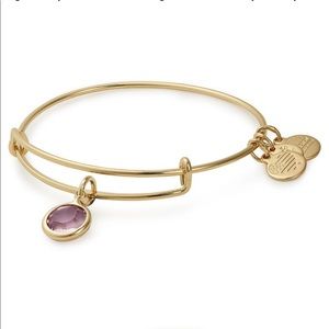Alex and Ani Swarovski Amethyst